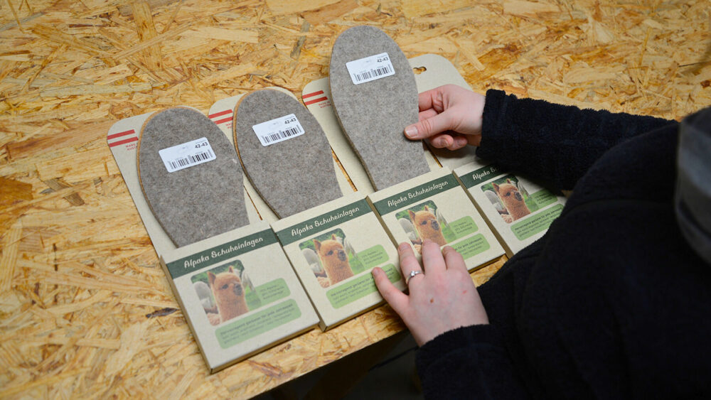 Al's World GmbH fertigt nachhaltige Alpakaprodukte in St. Ulrich mit Fokus auf Regionalität und Nachhaltigkeit.