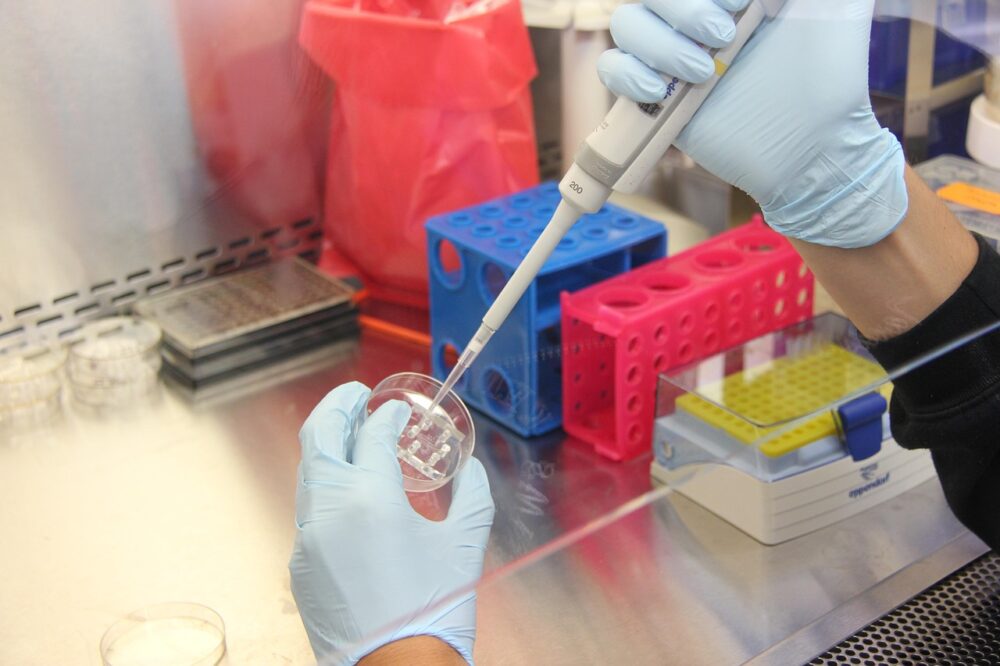 Laborutensilien mit Gewebeproben stehen für die neue Geweberegeneration-Marke EmeraNova von BioLab Holdings – Foto: mwooten / Pixabay